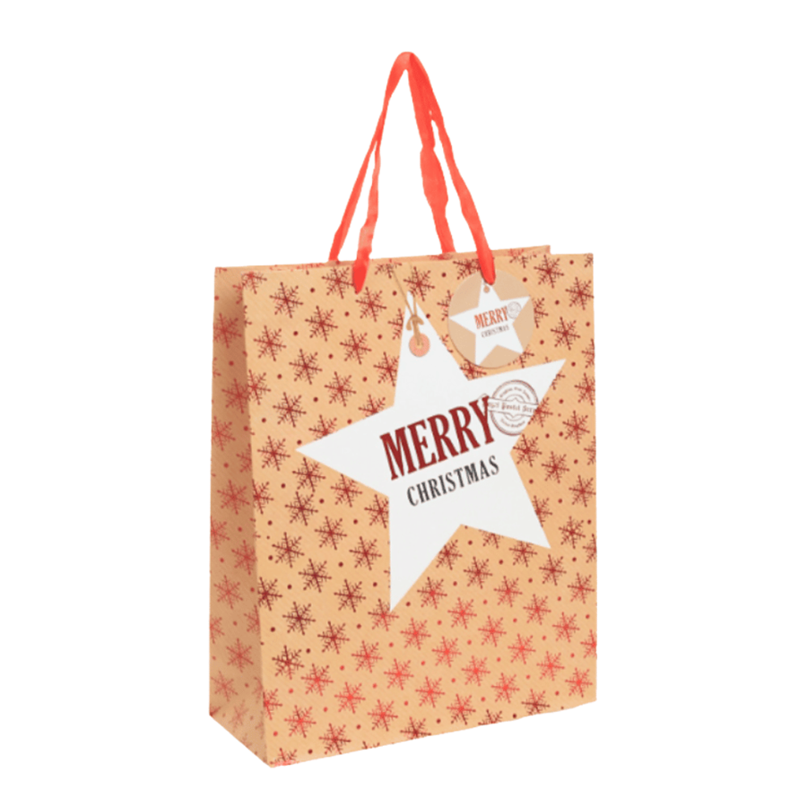 SACO PAPEL 39X30X12CM FLOCOS NATAL