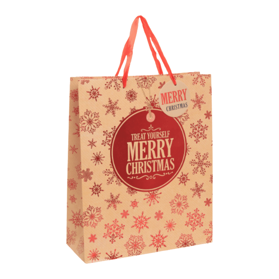 SACO PAPEL 39X30X12CM NEVE NATAL