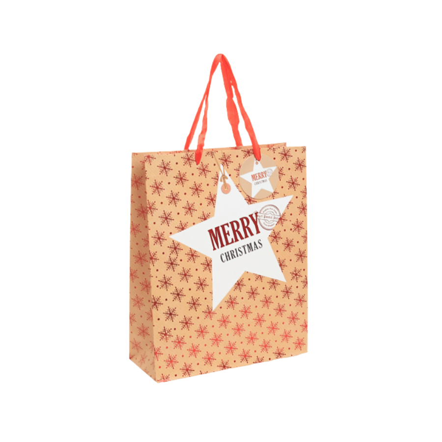 SACO PAPEL S 23.5X17.5X8CM FLOCOS NATAL