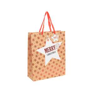 SACO PAPEL S 23.5X17.5X8CM FLOCOS NATAL SACO PAPEL S 23.5X17.5X8CM FLOCOS NATAL