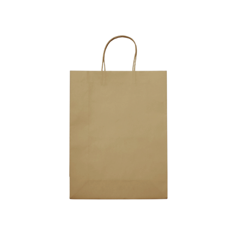 SACO PRESENTE 21X15X8CM CRAFT