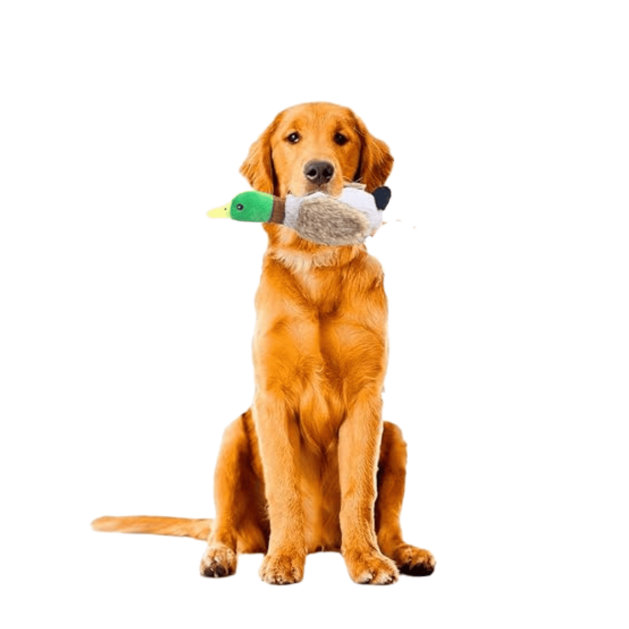 BRINQUEDO PATO P/CÃO PELUCHE