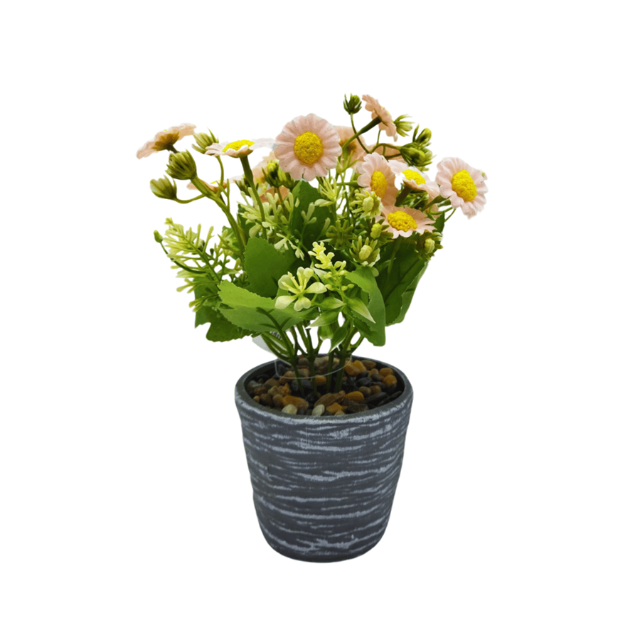 PLANTA CALENDULA 15X15X25CM