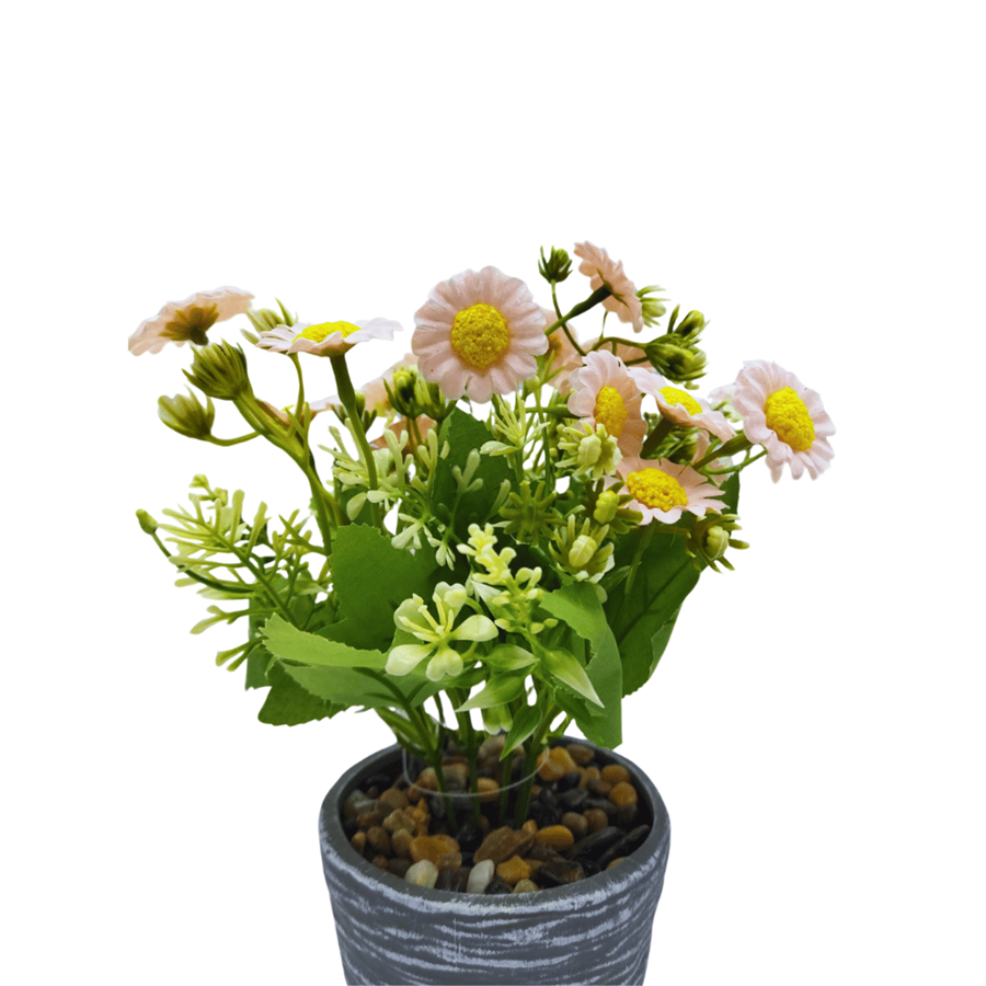 PLANTA CALENDULA 15X15X25CM