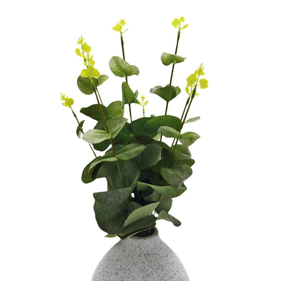 PLANTA FOLHA EUCALIPTO