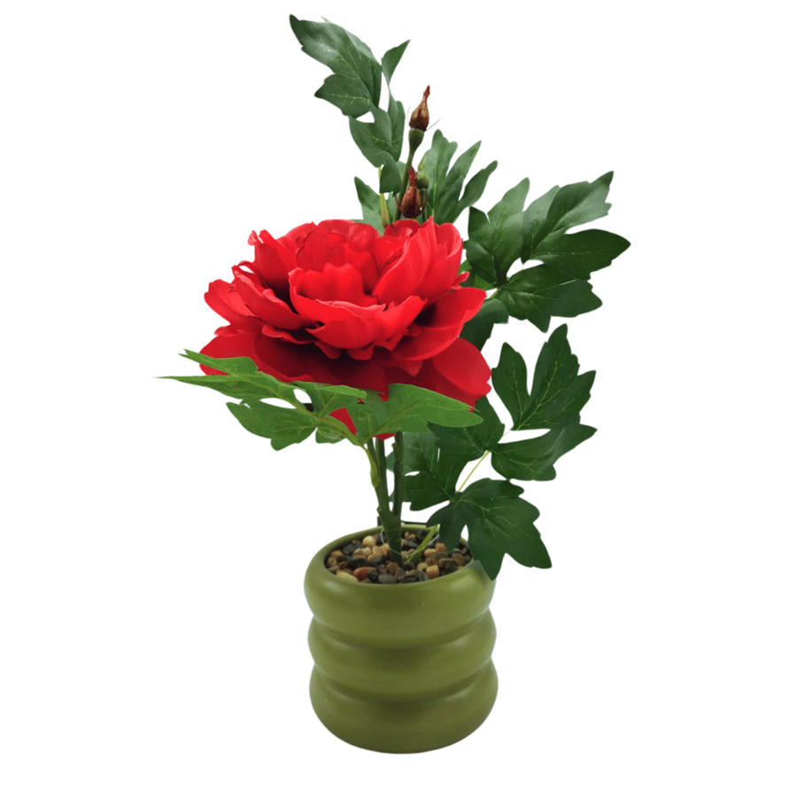 PEONIA VASO VERMELHO