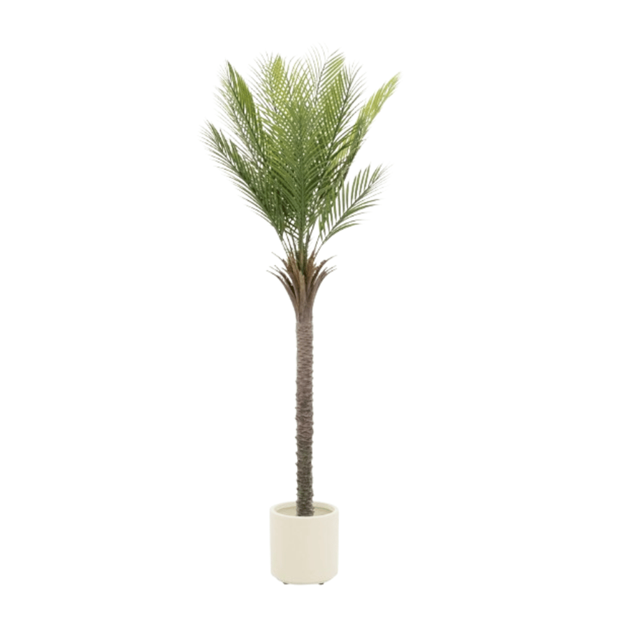 PLANTA ARTIF. PALMEIRA 180CM C/VASO BRANCO PLANTA ARTIF. PALMEIRA 180CM C/VASO BRANCO