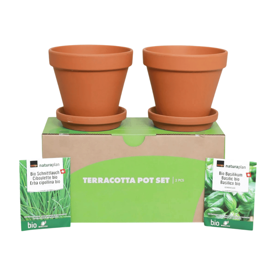 VASOS TERRACOTA C/ SEMENTES