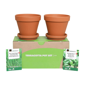 VASOS TERRACOTA C/ SEMENTES