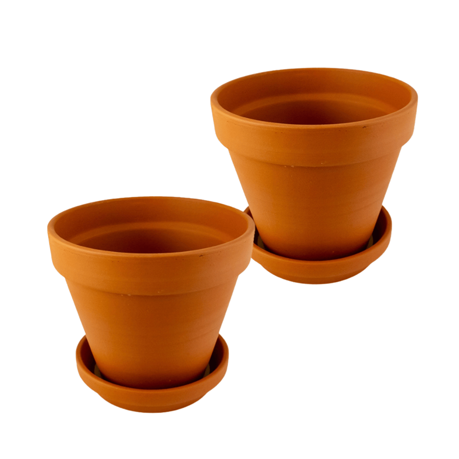 VASOS TERRACOTA C/ SEMENTES
