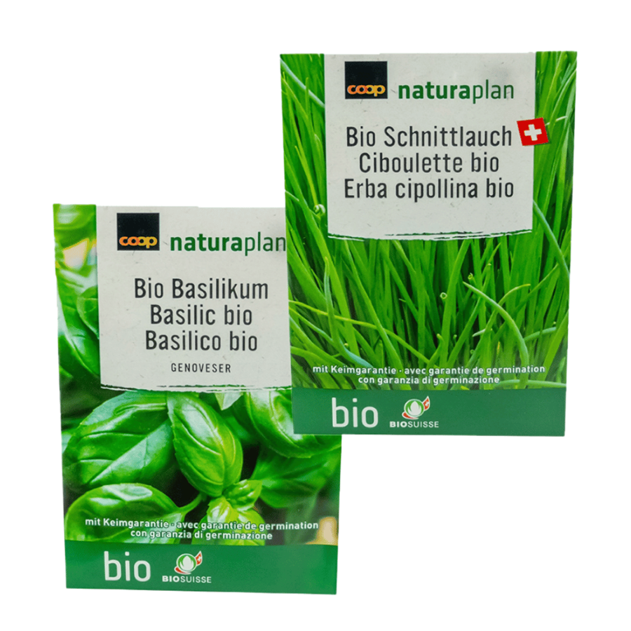 VASOS TERRACOTA C/ SEMENTES