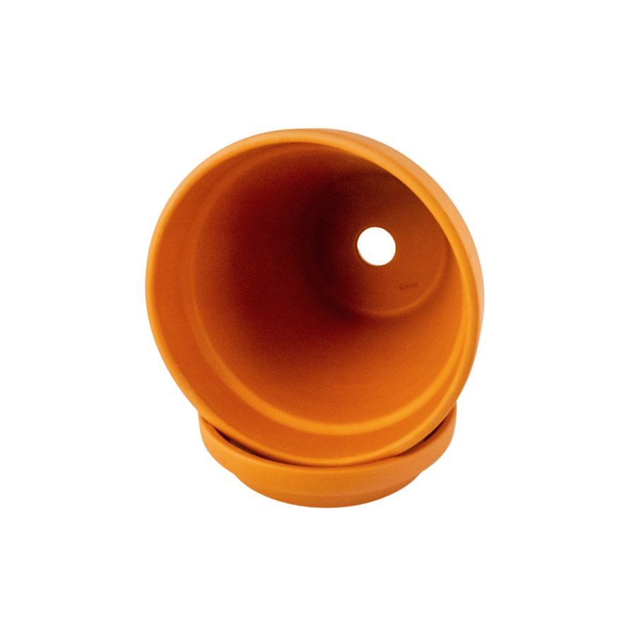 VASOS TERRACOTA C/ SEMENTES